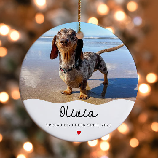 Pet Christmas Tree Ornament