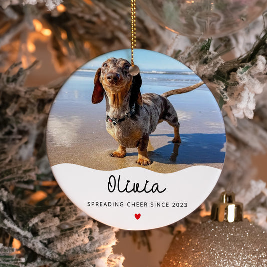 Pet Christmas Tree Ornament